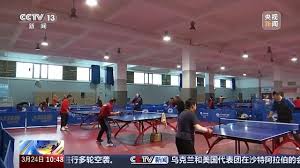 2026国际足联世界杯 乒乓球台高度规定多少米